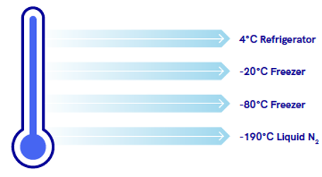 Freezing Point Data chart