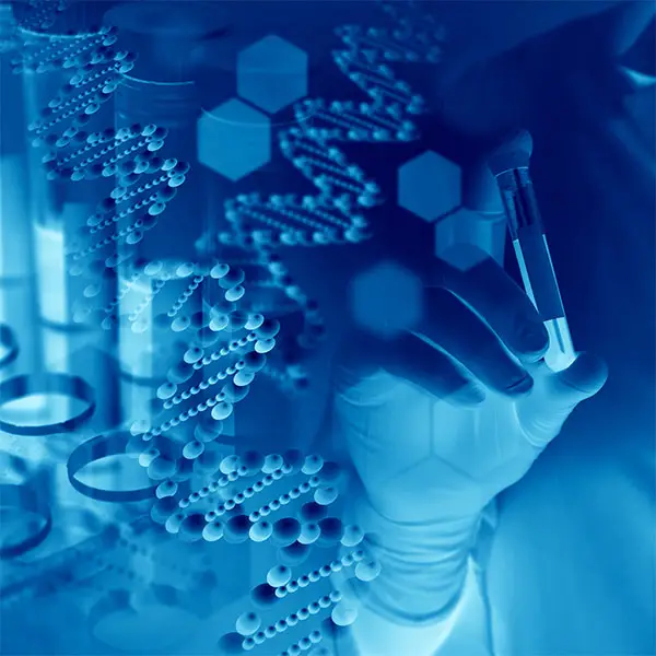 Test tubes of DNA samples in the laboratory