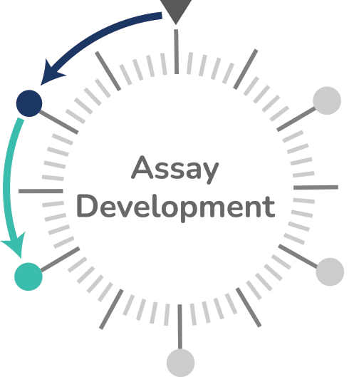 assay development