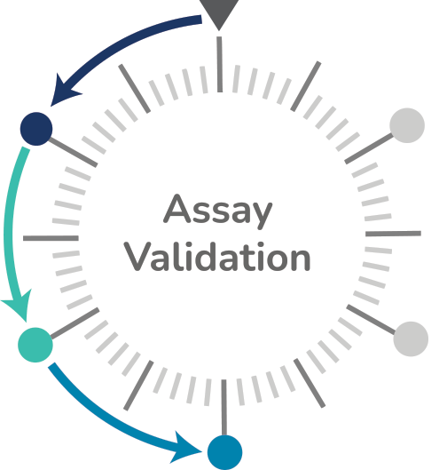 assay validation