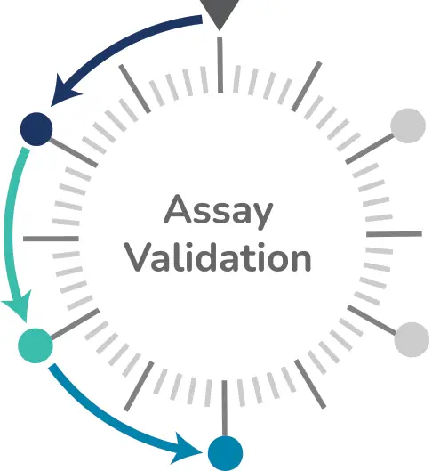 assay validation