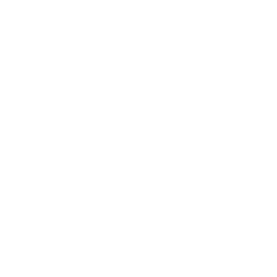 icon project management